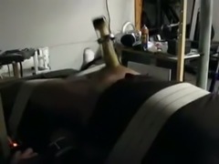 Venus milking machine 1