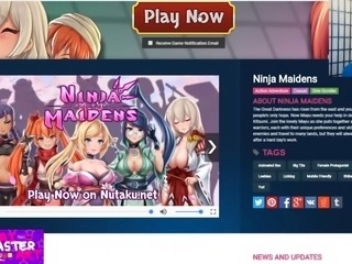 Ninja Maidens #1 W/HentaiMasterArt