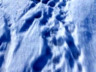 KATIE - SNOW FIELD