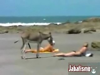 TOP JABATICO N