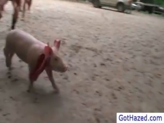 Extreme farm gay hazing 2 gay porno free