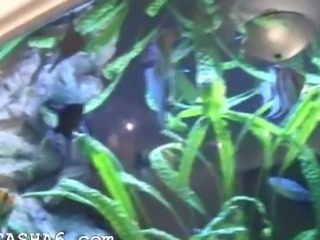 Natashas cunt rubbing on big aquarium