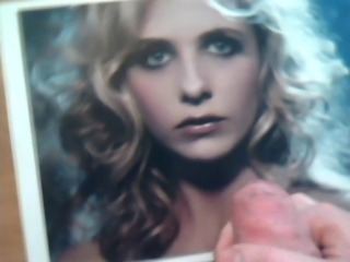 Tribute - Sarah Michelle Gellar