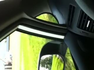 nude in the car