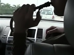 Horny babes sucking penis in car