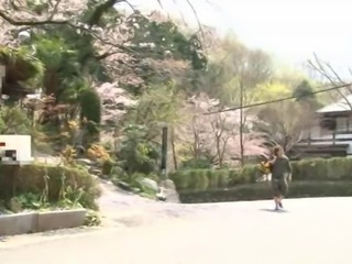 Japanese traditional hostel