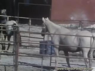 Weekend Cowgirl Classic Porno free