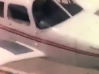 Sucking Cock In The Plane