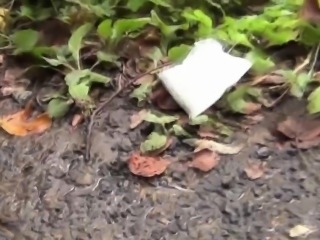 Asian ho caught pissing