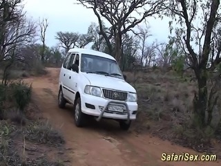 african safari groupsex fuck orgy