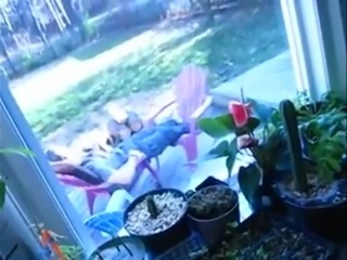 Cheating girl sucks while boyfriend relax outside