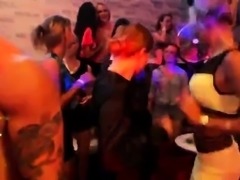 Foxy kittens get absolutely crazy and nude at hardcore party