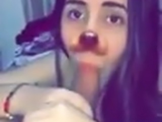 bitches