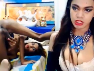 Sexy Duo Shemale Babe Sucking Each Other Cock
