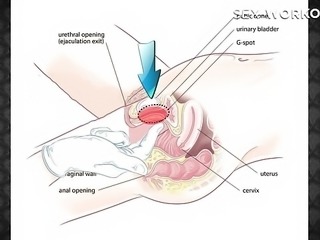 Shower sex positions