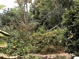 Hot hottie gets her ass licked, sucks dick and gets a facial