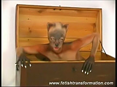 Beauty pussycat transformation free